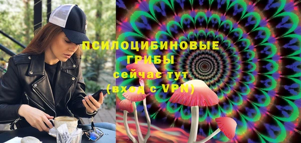 Альфа ПВП Каменногорск