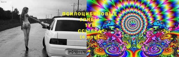 ALPHA PVP Каменка