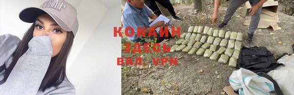 Альфа ПВП Каменногорск
