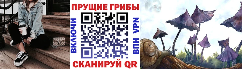 Купить закладки  Гаврилов-Ям  Псилоцибиновые грибы мухоморы 